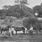 Quand fut inventée la biodynamie ?