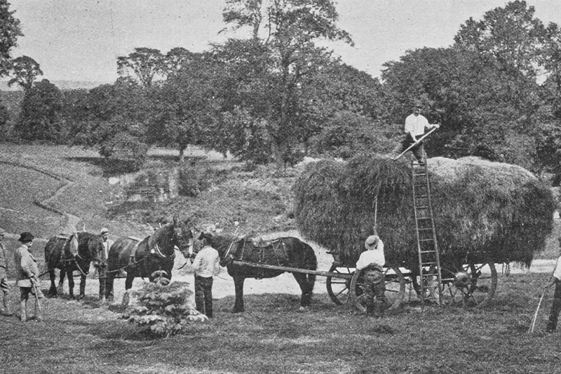 Quand fut inventée la biodynamie ?